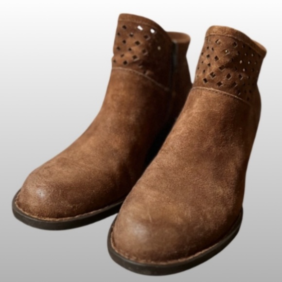 Winema in Tabacco - Picture 8 of 12